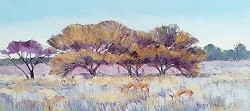 Thorn Trees at Goas Etosha | 2023 | Oil on Canvas | 33 x 69 cm